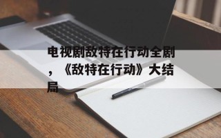 电视剧敌特在行动全剧，《敌特在行动》大结局