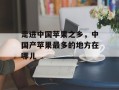 走进中国苹果之乡，中国产苹果最多的地方在哪儿