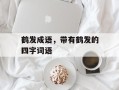 鹤发成语，带有鹤发的四字词语