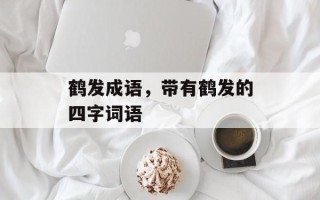 鹤发成语，带有鹤发的四字词语