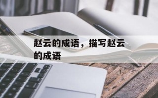 赵云的成语，描写赵云的成语