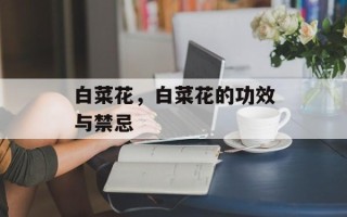 白菜花，白菜花的功效与禁忌