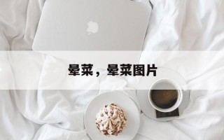 晕菜，晕菜图片