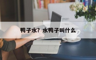 鸭子水？水鸭子叫什么