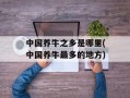 中国养牛之乡是哪里(中国养牛最多的地方)