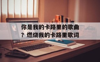 你是我的卡路里的歌曲？燃烧我的卡路里歌词