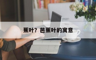 蕉叶？芭蕉叶的寓意