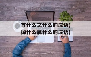 首什么之什么的成语(掉什么属什么的成语)
