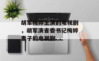 胡军梅婷主演的电视剧，胡军演省委书记梅婷妻子的电视剧