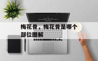 梅花骨，梅花骨是哪个部位图解
