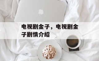 电视剧金子，电视剧金子剧情介绍