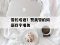 雪的成语？赞美雪的词语四字唯美