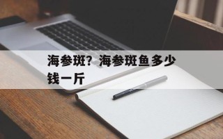 海参斑？海参斑鱼多少钱一斤
