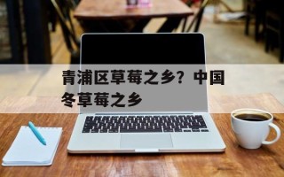 青浦区草莓之乡？中国冬草莓之乡