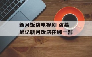 新月饭店电视剧 盗墓笔记新月饭店在哪一部