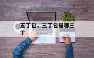 五丁包，三丁包是哪三丁