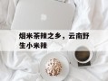 烟米茶辣之乡，云南野生小米辣