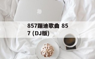 857蹦迪歌曲 857 (DJ版)