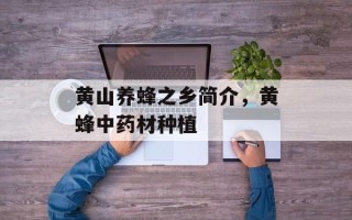 黄山养蜂之乡简介，黄蜂中药材种植