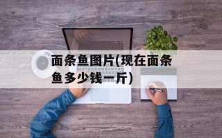 面条鱼图片(现在面条鱼多少钱一斤)
