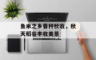 鱼米之乡春种秋收，秋天稻谷丰收美景