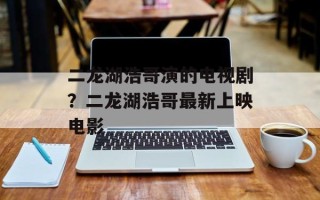 二龙湖浩哥演的电视剧？二龙湖浩哥最新上映电影