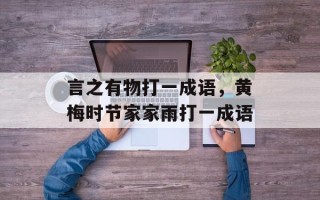 言之有物打一成语，黄梅时节家家雨打一成语