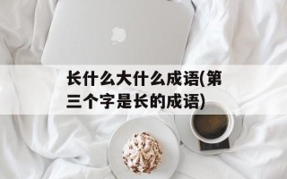 长什么大什么成语(第三个字是长的成语)