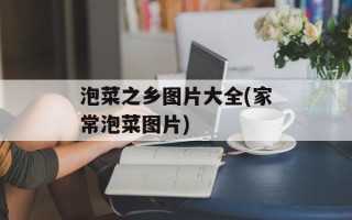泡菜之乡图片大全(家常泡菜图片)