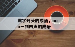 震字开头的成语，nuo一到四声的成语