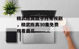精武陈真甄子丹电视剧，精武陈真30集免费观看西瓜