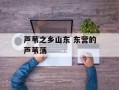 芦苇之乡山东 东营的芦苇荡