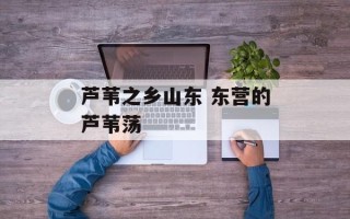 芦苇之乡山东 东营的芦苇荡