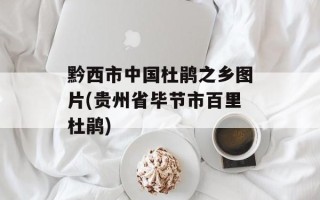 黔西市中国杜鹃之乡图片(贵州省毕节市百里杜鹃)