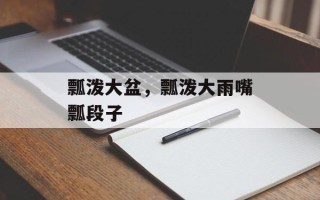 瓢泼大盆，瓢泼大雨嘴瓢段子