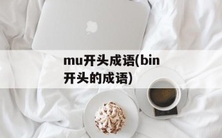 mu开头成语(bin开头的成语)