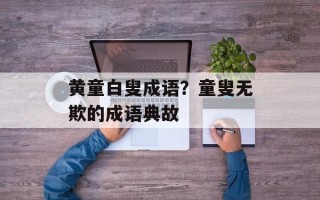黄童白叟成语？童叟无欺的成语典故