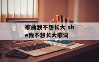 歌曲我不想长大 she我不想长大歌词