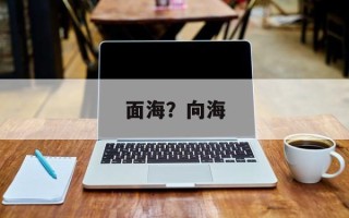 面海？向海