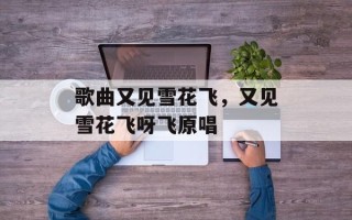 歌曲又见雪花飞，又见雪花飞呀飞原唱