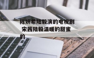 陈妍希陆毅演的电视剧 宋茜陆毅温暖的甜蜜的