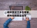 郴州奥运之乡在哪里，郴州桂阳奥运冠军