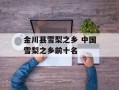 金川县雪梨之乡 中国雪梨之乡前十名