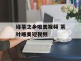 绿茶之乡唯美视频 茶叶唯美短视频