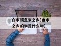 白米镇鱼米之乡(鱼米之乡的米是什么米)