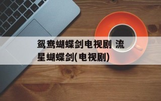 鸳鸯蝴蝶剑电视剧 流星蝴蝶剑(电视剧)