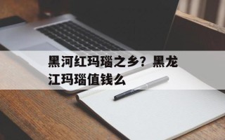 黑河红玛瑙之乡？黑龙江玛瑙值钱么