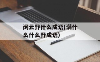 闲云野什么成语(满什么什么野成语)