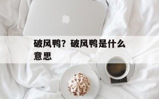 破风鸭？破风鸭是什么意思