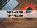 乌梅之乡是哪里，新疆乌梅产地在哪里